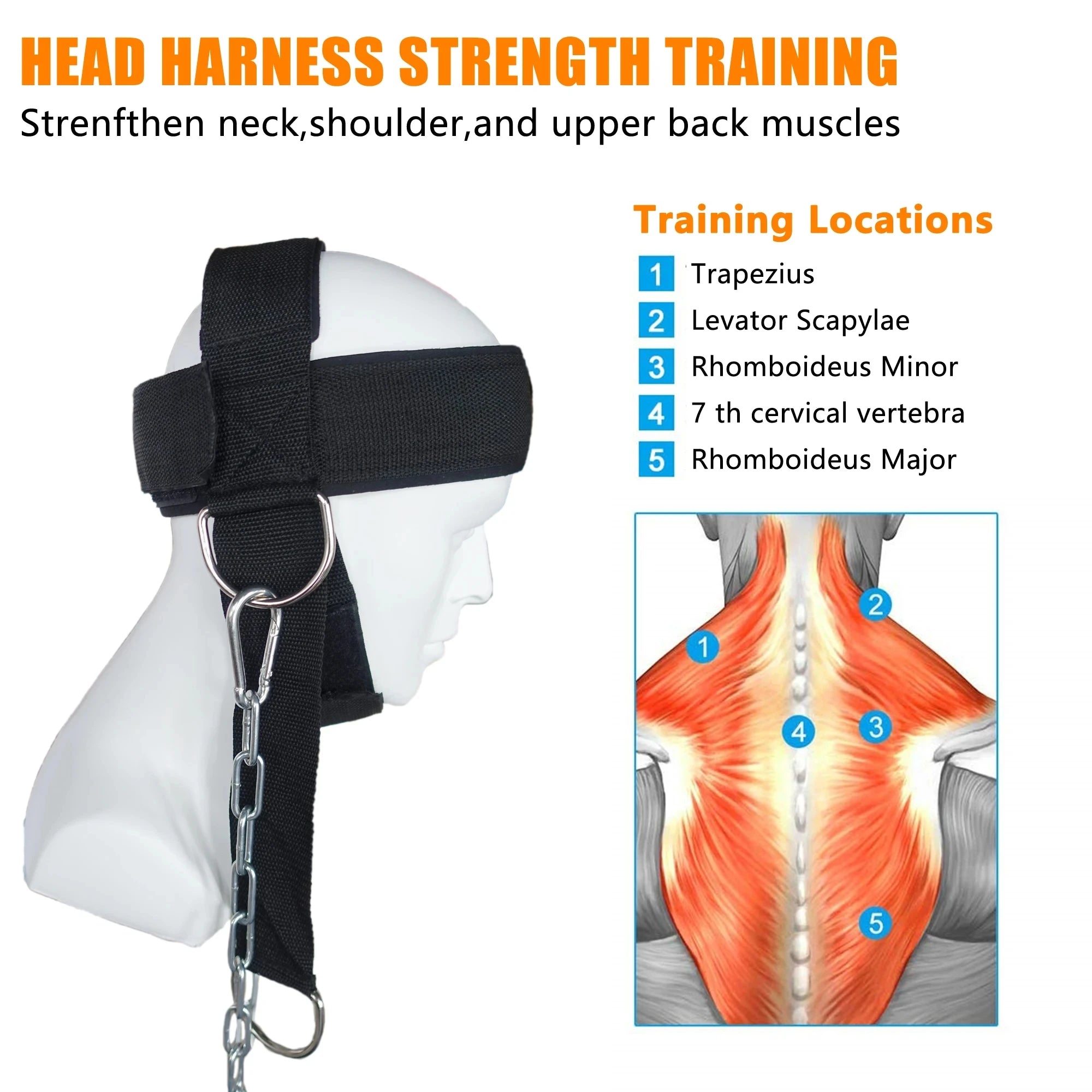 Neck Training Head Harness with Steel Chain